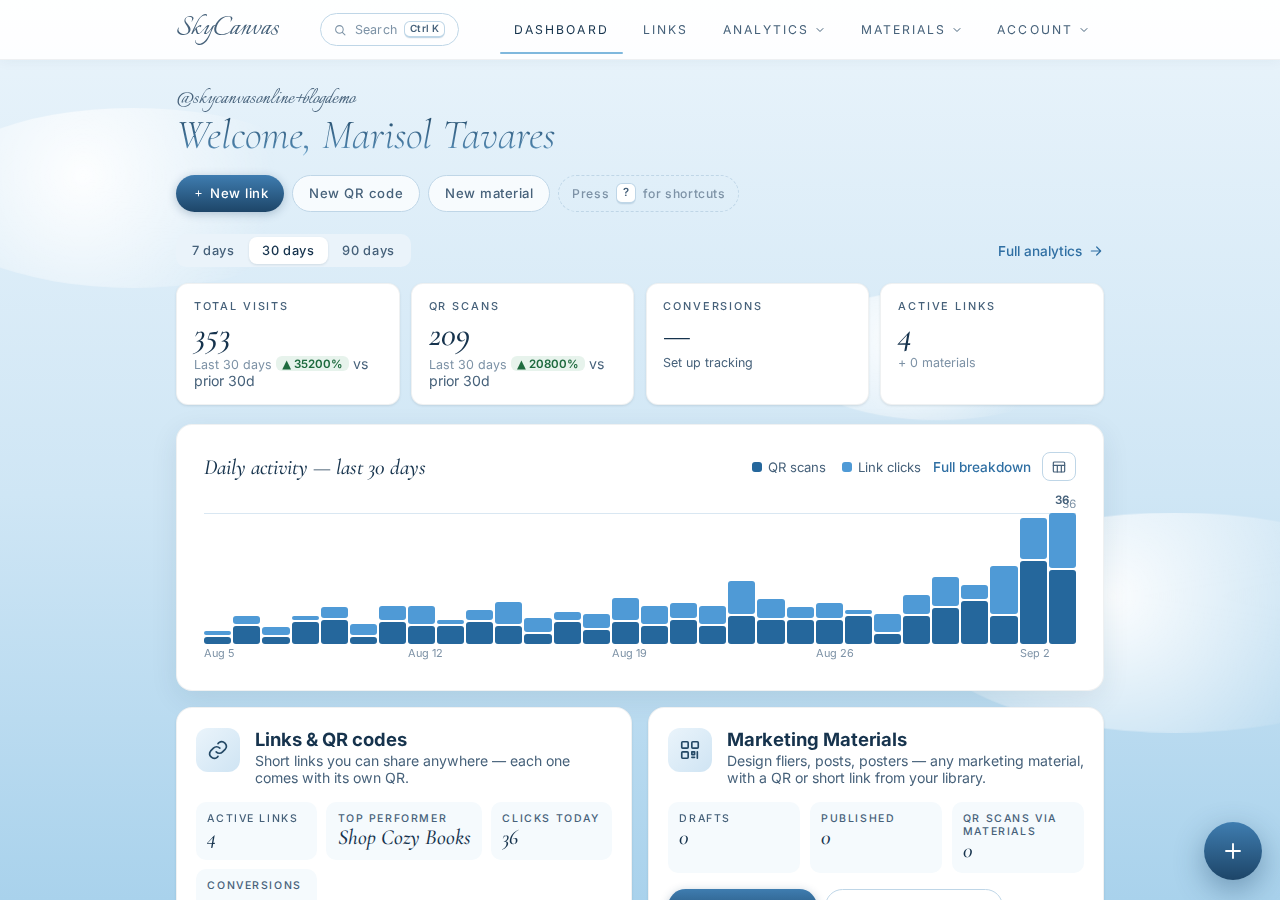 The SkyCanvas dashboard: KPI tiles for clicks, QR scans, conversions and links, plus the daily activity chart.