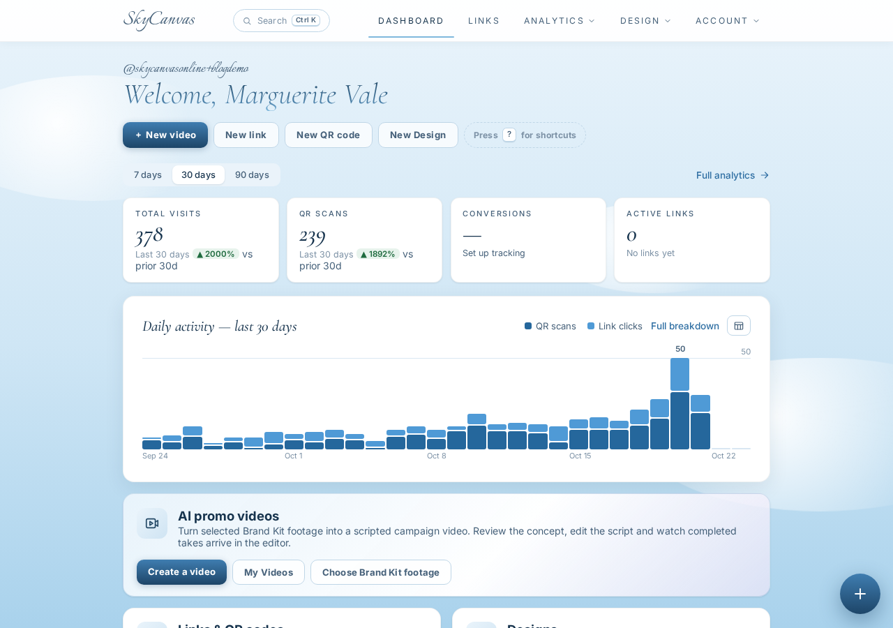 The SkyCanvas dashboard: KPI tiles for clicks, QR scans, conversions and links, plus the daily activity chart.