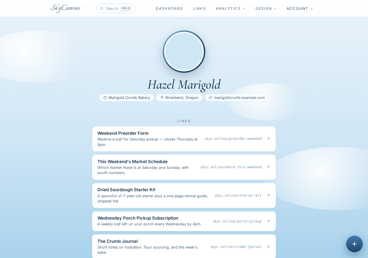 The public SkyCanvas business profile page that customers see, with the business details and public links.